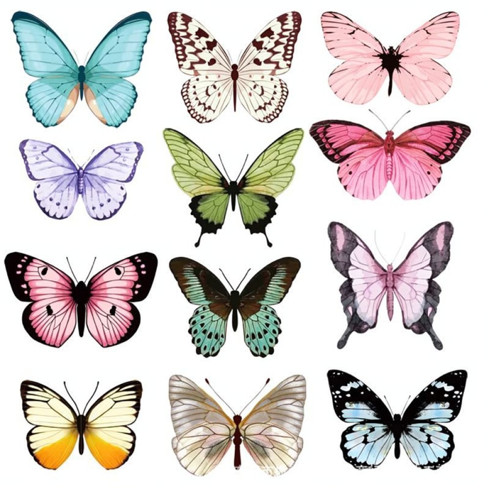 Autocollant mural en PVC repré - Art And Craft For Nursery avis et prix